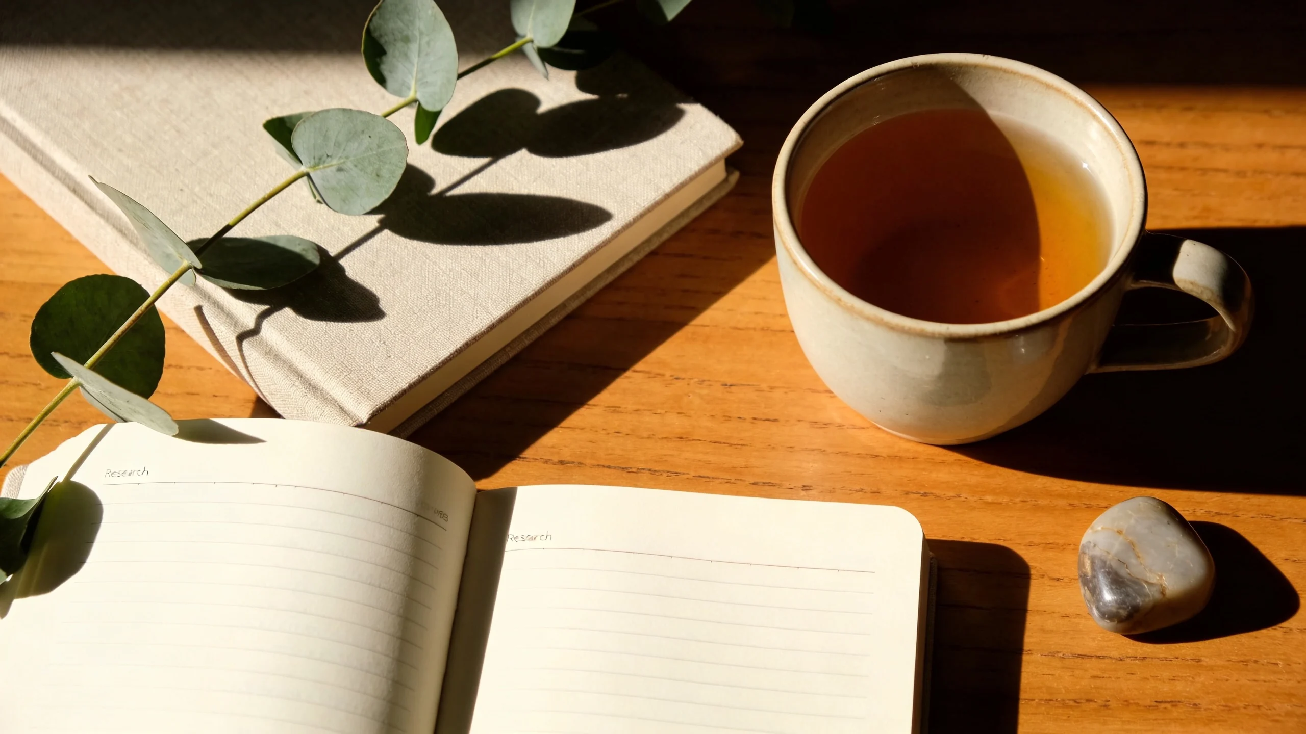 Warm editorial still life with research notebook and tea representing thoughtful tesamorelin protocol planning